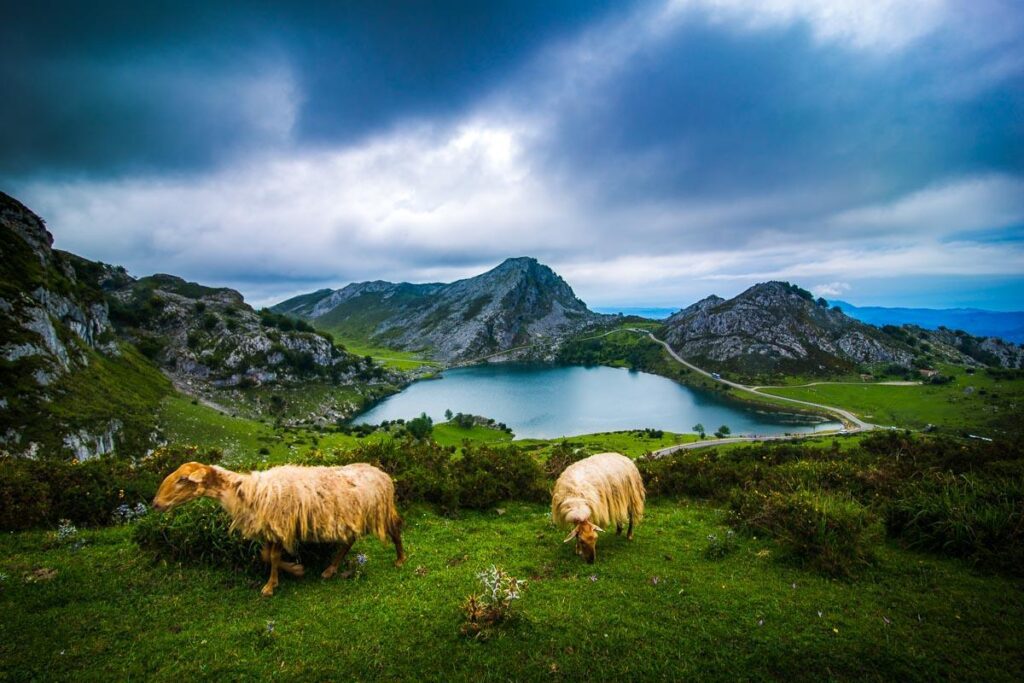 Lakes of Covadonga in the Picos de Europa